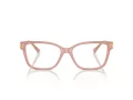 Jimmy Choo Brillen JC 3012 5027 53