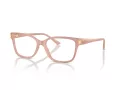 Jimmy Choo Brillen JC 3012 5027 53