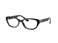 Jimmy Choo Brillen JC 3015 5000