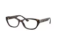 Jimmy Choo Brillen JC 3015 5002 53