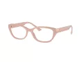 Jimmy Choo Brillen JC 3015 5014 55