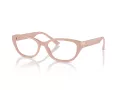 Jimmy Choo Brillen JC 3015 5014 55