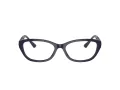 Jimmy Choo Brillen JC 3015 5023 55