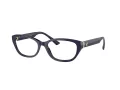 Jimmy Choo Brillen JC 3015 5023 55