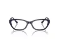 Jimmy Choo Brillen JC 3015 5023 55