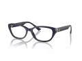 Jimmy Choo Brillen JC 3015 5023 55