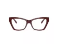 Jimmy Choo Brillen JC 3021H 5057 54