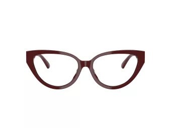 Jimmy Choo Brillen JC 3023HU 5057 53