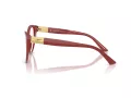 Jimmy Choo Brillen JC 3026 5013 51