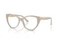 Jimmy Choo Brillen JC 3026 5033 53