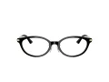 Jimmy Choo Brillen JC 3029D 5000