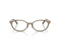 Jimmy Choo Brillen JC 3029D 5051