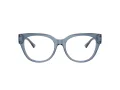 Jimmy Choo Brillen JC 3035 5067 51