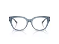 Jimmy Choo Brillen JC 3035 5067 51