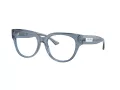 Jimmy Choo Brillen JC 3035 5067 53