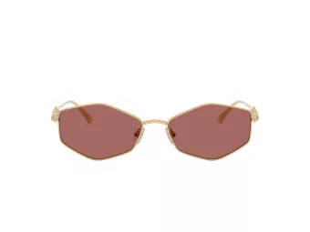 Jimmy Choo Sonnenbrille JC 4017 302369