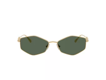 Jimmy Choo Sonnenbrille JC 4017 302371