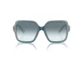 Jimmy Choo Sonnenbrille JC 5005 504319