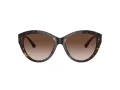 Jimmy Choo Sonnenbrille JC 5007 500213