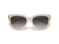 Jimmy Choo Sonnenbrille JC 5018U 50258G