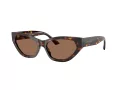 Jimmy Choo Sonnenbrille JC 5022B 500273