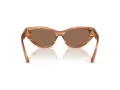 Jimmy Choo Sonnenbrille JC 5022B 505573
