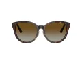 Jimmy Choo Sonnenbrille JC 5032D 5002T5