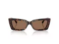 Jimmy Choo Sonnenbrille JC 5037BU 500273