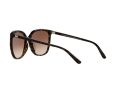 Michael Kors Anaheim Sonnenbrille MK 2137U 3006/13