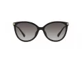 Michael Kors Dupont Sonnenbrille MK 2184U 30058G 56