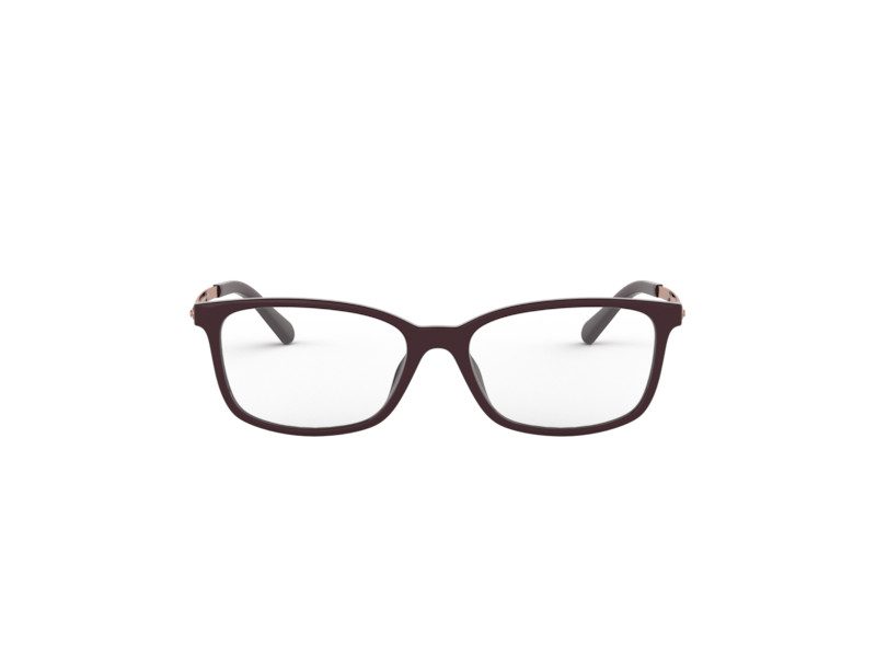 Michael Kors Telluride Brillen MK 4060U 3344