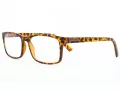 Computer brille mit Schildkrötenmuster BLF73A
