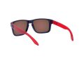 Oakley Holbrook Xs Sonnenbrille OJ 9007 900705