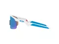 Oakley Resistor Sonnenbrille OJ 9010 07