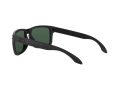 Oakley Holbrook Sonnenbrille OO 9102 E2