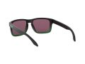 Oakley Holbrook Sonnenbrille OO 9102 E4