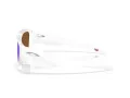 Oakley Instagator Sonnenbrille OO 9514 06
