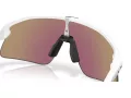 Oakley Stunt Devil Sonnenbrille OO 9517 04