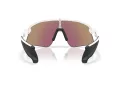 Oakley Stunt Devil Sonnenbrille OO 9517 04