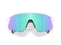 Oakley Stunt Devil Sonnenbrille OO 9517 04