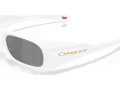 Oakley Permian Sonnenbrille OO 9520 02