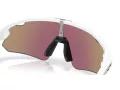 Oakley Stunt Devil A Sonnenbrille OO 9525 02