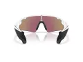 Oakley Stunt Devil A Sonnenbrille OO 9525 02