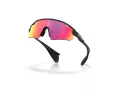 Oakley Stunt Devil A Sonnenbrille OO 9525 03
