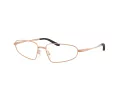 Oakley Neoastra Brillen OX 3116 02