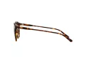 Polo Sonnenbrille PH 4110 5134/73