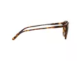 Polo Sonnenbrille PH 4110 5134/83