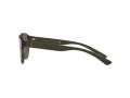 Polo Sonnenbrille PH 4176 5003/71