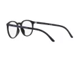 Polo Sonnenbrille PH 4183U 588687 52