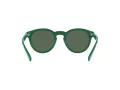 Polo Sonnenbrille PH 4184 6017/71